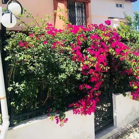 Сasa de vacaciones Ada Life || Near Ladies Beach - Summer Enjoyment || Nk8 - #117005 Kusadasi