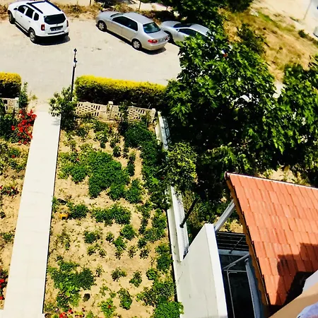 Ada Life || Near Ladies Beach - Summer Enjoyment || Nk8 - #117005