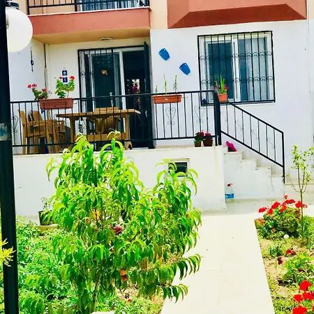 Ada Life || Near Ladies Beach - Summer Enjoyment || Nk8 - #117005 *