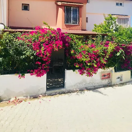 Ada Life || Near Ladies Beach - Summer Enjoyment || Nk8 - #117005 *