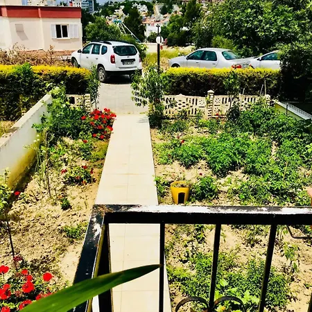 Ada Life || Near Ladies Beach - Summer Enjoyment || Nk8 - #117005